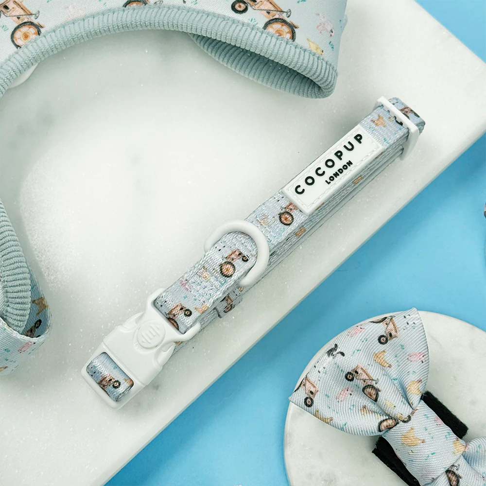 SALE COLLARS